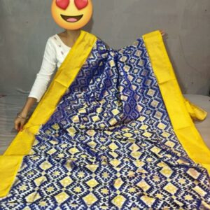Ikkat Pochampally Handloom Silk  Saree   Zari  Border With Blouse -PRSS1250020