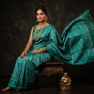 Double Ikkat Pochampally Silk  Saree  With Blouse | Handloom Sarees -PRSS120039